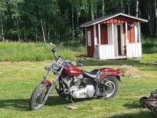 Harley-Davidson Softail