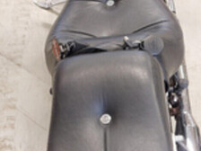 Harley-Davidson Softail