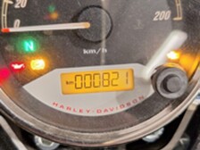 Harley-Davidson Street