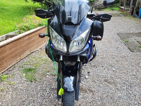 Suzuki DL