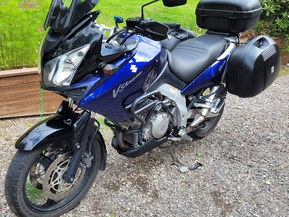 Suzuki DL