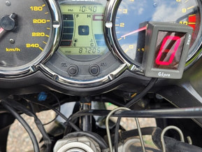 Suzuki DL