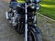 Yamaha XJR