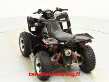 Arctic Cat 450