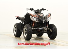 Arctic Cat 450