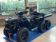 Polaris Bigboss 6X6