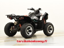 Arctic Cat 450