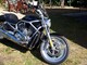 Harley-Davidson VRSC