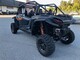 Polaris RZR