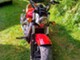 Indian Scout