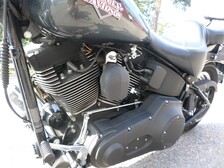 Harley-Davidson Softail