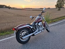 Harley-Davidson Softail