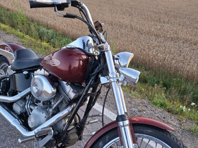 Harley-Davidson Softail