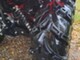 Honda FourTrax