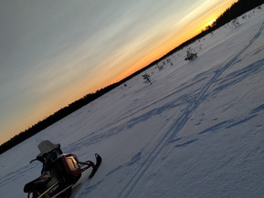 Polaris Indy