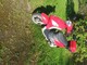 Piaggio Fly