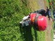 Piaggio Fly