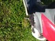 Piaggio Fly