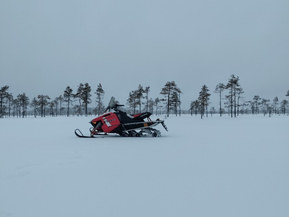 Polaris Indy