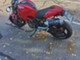Ducati Monster