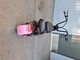 Motokettu Cruiser