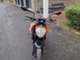 KTM 125