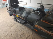 Arctic Cat Panther