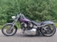 Harley-Davidson -