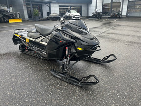 Ski-Doo Renegade