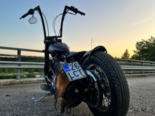 Harley-Davidson Softail