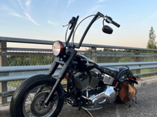 Harley-Davidson Softail