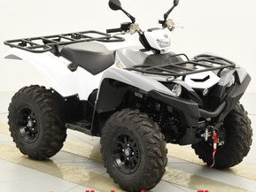 Yamaha Grizzly