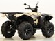 Yamaha Grizzly
