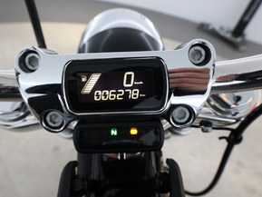 Harley-Davidson Softail