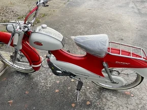 Solifer Export