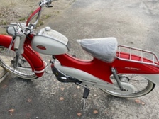 Solifer Export