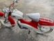 Solifer Export