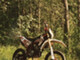 Fantic Motor Motard
