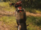 Fantic Motor Motard