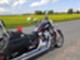 Suzuki VL