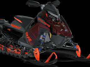 Polaris SwitchBack