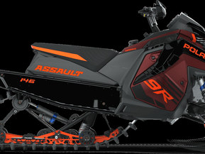 Polaris SwitchBack