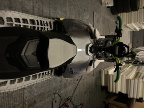 Ski-Doo Freeride