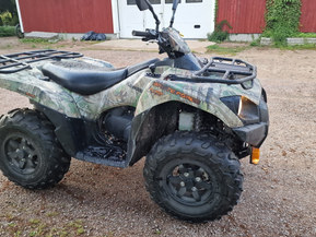 Kawasaki Brute Force