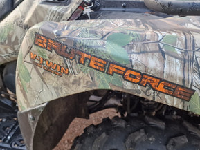 Kawasaki Brute Force