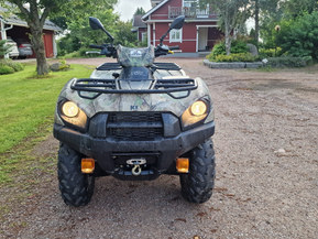 Kawasaki Brute Force