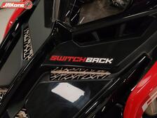 Polaris SwitchBack