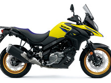 Suzuki DL