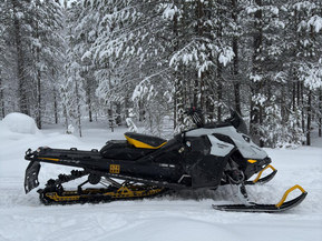 Ski-Doo Summit