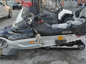 Arctic Cat Panther